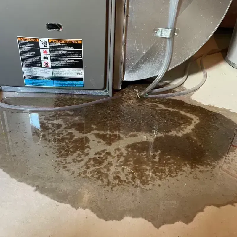 Appliance Leak Cleanup in Middletown, NY